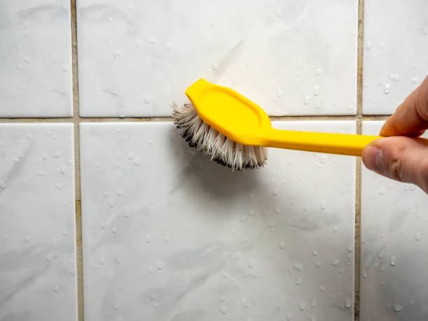 Best Commercial Mold Removal  in Johnson City, NY