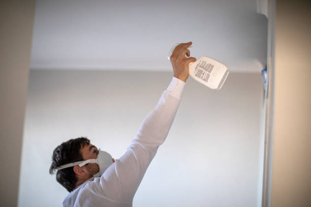 Best Attic Mold Removal  in Johnson City, NY